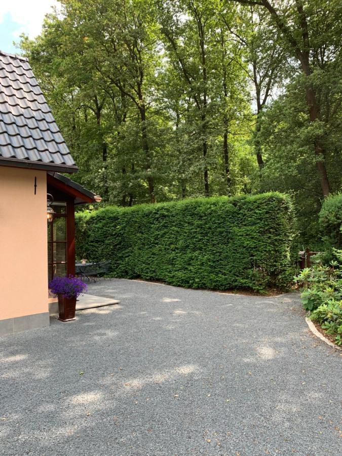 Romantisch Gastenverblijf 'Het Vogelhuisje' Lunteren Exterior foto