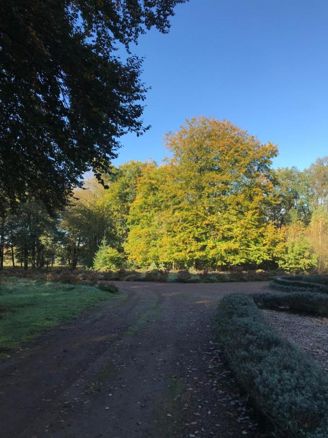 Romantisch Gastenverblijf 'Het Vogelhuisje' Lunteren Exterior foto